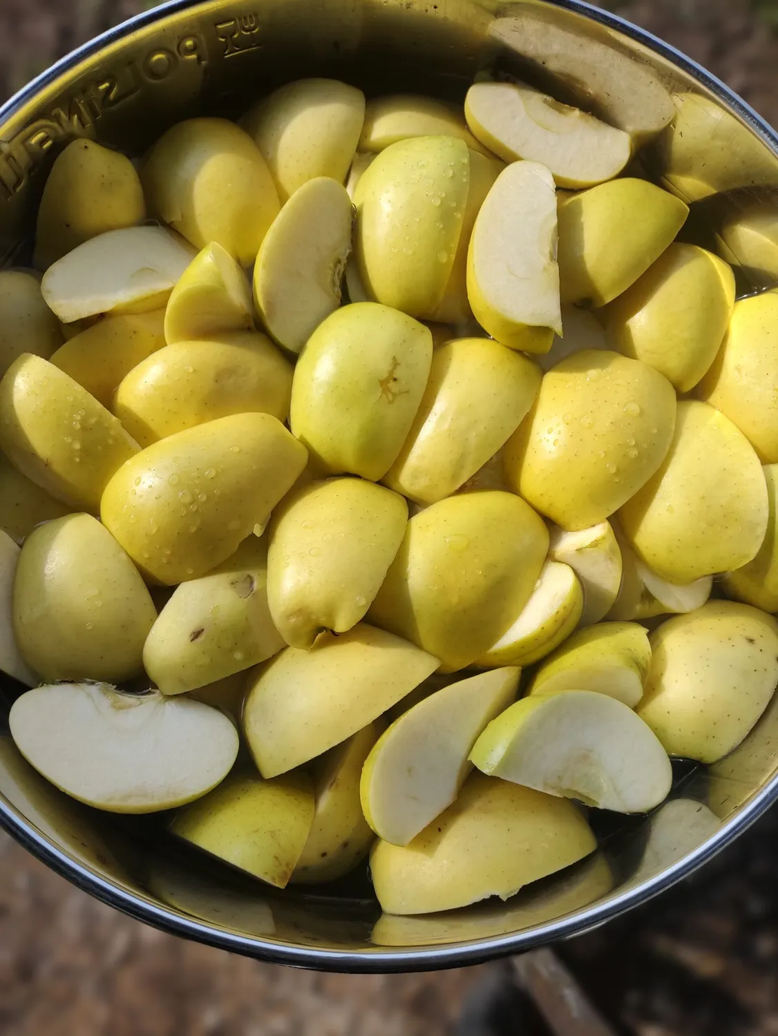 Saporea Aceto Spontaneo Doppia Mela 500 ml sidro